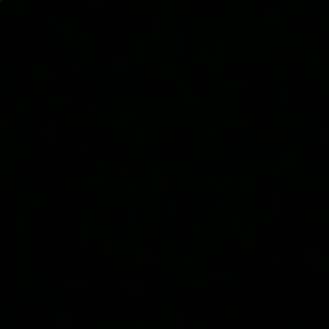 Meet your Posher, Liza